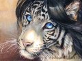 karannia_by_vantid-d5u15q4.jpg